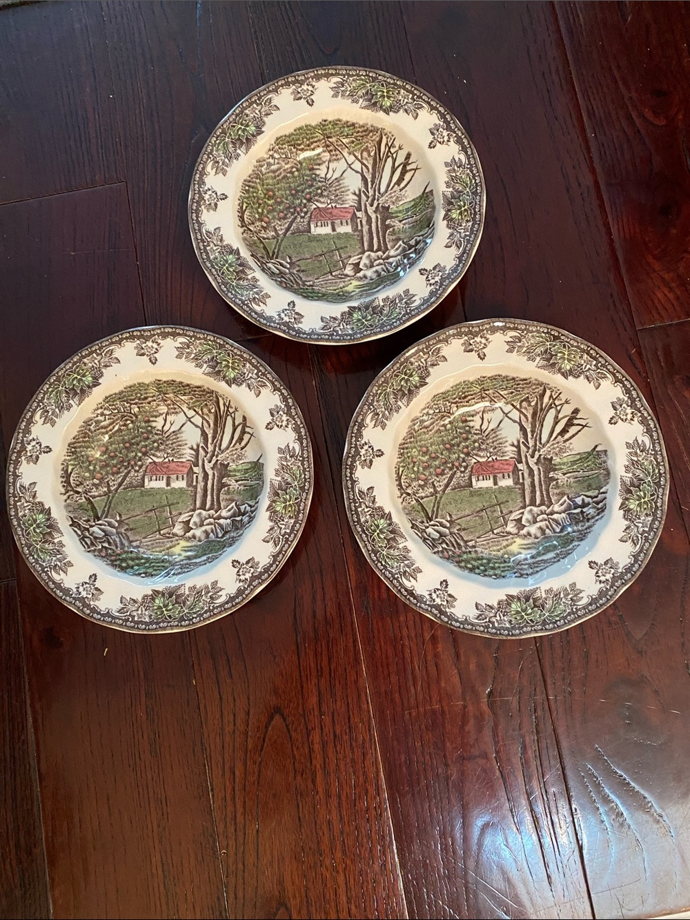 Set of 2 NEW w Tags Friendly Village Rimmed Soup Bowls 8.5”